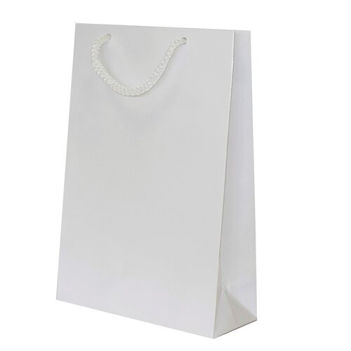 Laminated bags without printing